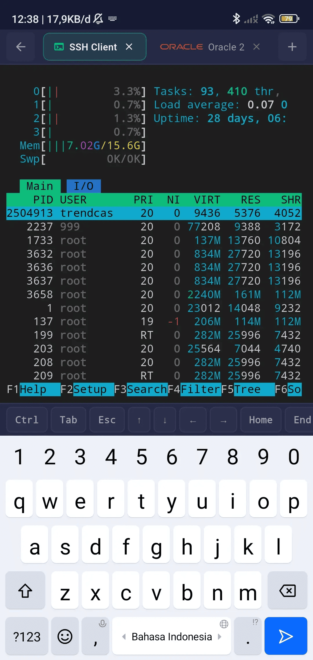 SSH Terminal View 2