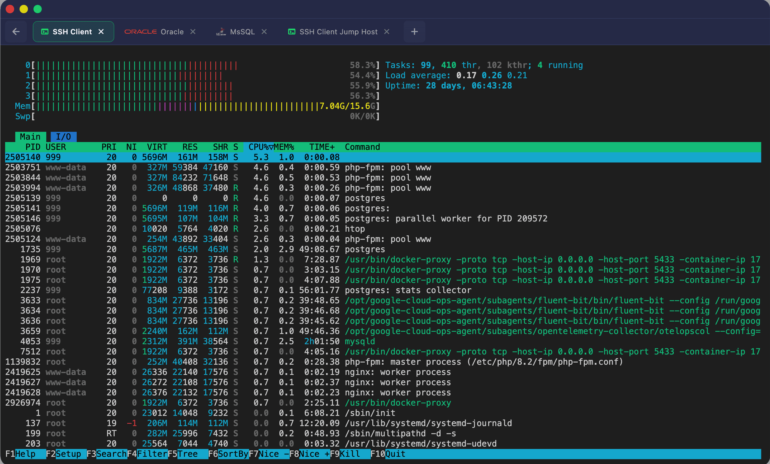 SSH Terminal View 1